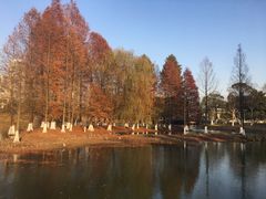 -白塘生态植物园