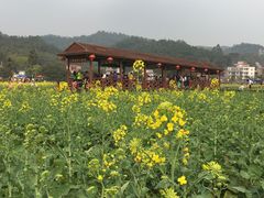 -红山村