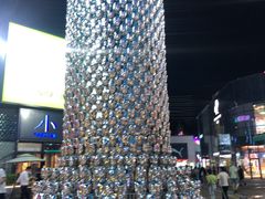 -小大董·烤鸭(五棵松店)