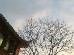 -赵元章肉骨烧(山塘街店)