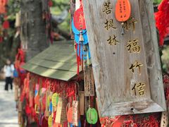 -黄龙溪古镇