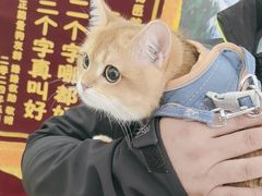 -瑞派·爱瑞可动物医院·口腔专科(广华新城分院)