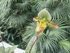 -北京植物园-展览温室