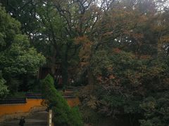 -普陀山风景名胜区-法雨禅寺