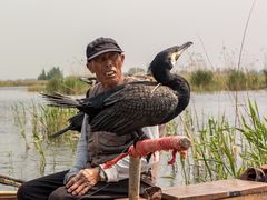 -白洋淀景区