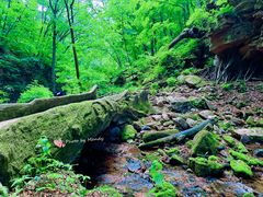 -五女峰国家森林公园