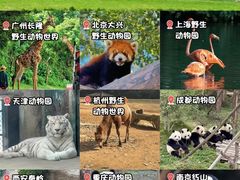 -成都动物园