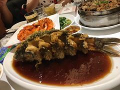 -金春禧(世茂国际广场店)