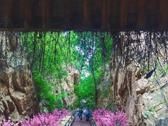-京东石林峡风景区