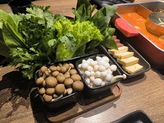 -新辣道鱼火锅(龙旗广场店)
