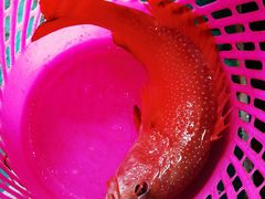 -八方海味餐厅