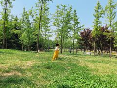 -洨河生态公园