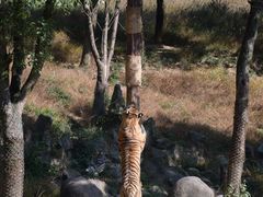 -杭州野生动物世界