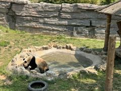 -石家庄市动物园