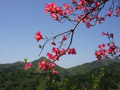 -木兰云雾山