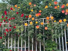 -元大都城垣遗址公园