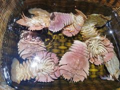 -拉完海鲜大排档(温岭店)