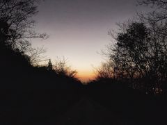 -紫金山山顶公园