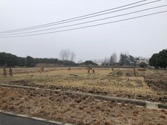 -嘉北郊野公园