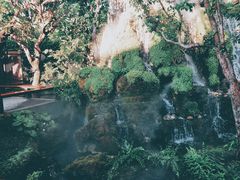 -Chom Cafe and Restaurant