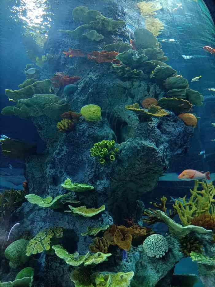 福州罗源湾海洋世界旅游区-"从福州市区出发,全程大概一个小时多就能