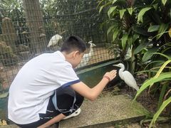 -吉隆坡雀鸟公园