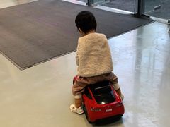 -TESLA 特斯拉(深圳观澜特斯拉直营钣喷中心)