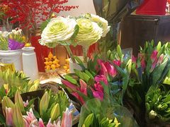 -双季花艺园艺市场(浦东店)