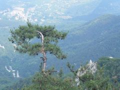 -沂蒙山旅游区云蒙景区(蒙山国家森林公园)