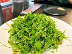 三叶香拌黄金豆-No.DD戳子烧烤·江湖菜(北京总店)