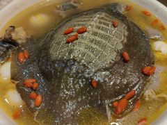 古法蒸甲鱼-阿英煲(凉城路店)