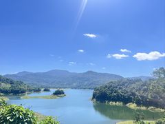 -海南热带雨林国家公园吊罗山景区