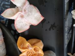 -丽江庭院之丽江往事(安定门店)