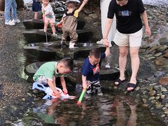 -成都市活水公园