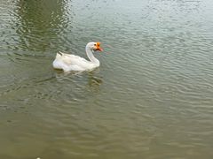 -黄兴公园