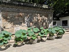 -上海醉白池公园
