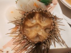 -雍和会海鲜姿造自助(湖东路店)