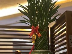 -广州白云机场铂尔曼大酒店·恬园创意中餐厅