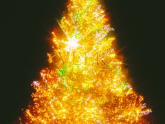 -渔人码头(洛溪店)