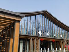 -东平国家森林公园