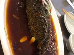罾蹦鲤鱼-津菜宋记老房子(鼓楼店)
