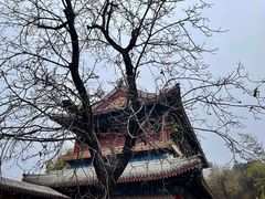 -潭柘寺景区