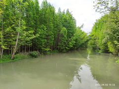 -桤木河湿地公园