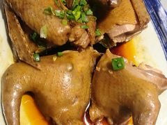 -百利鸽王(紫薇路店)