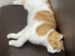 -张老晓·齐齐哈尔烤肉(桐乡振华路店)