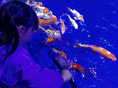 -左海海底世界