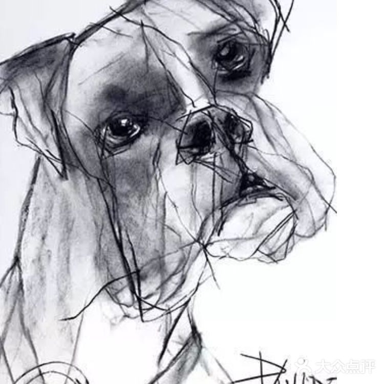 画成这样🍃，真的很帅！  🌈