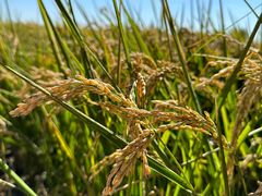 -稻梦空间冰雪小镇