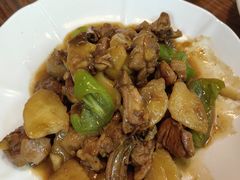 -老品芳