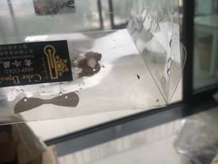 -凯斯汀蛋糕(大学城店)